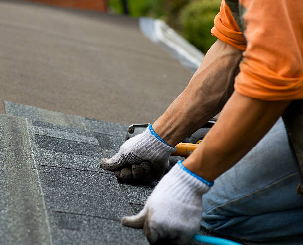Best Tile Roofing Contractor  in Mayville, WI